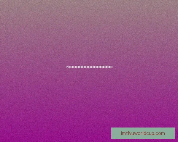 IM体育平台可靠吗全面解析用户体验安全性与投注环境深度评测指南